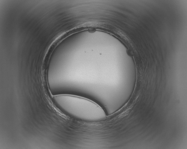 X0000054381029200507290851