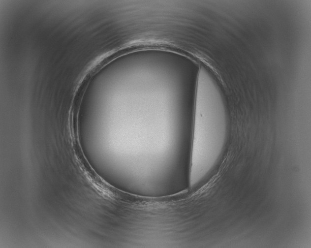 X0000054381030200507290851