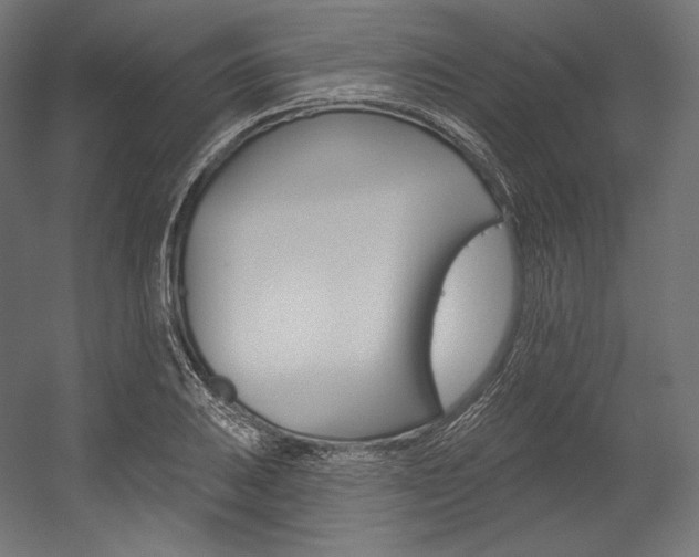 X0000054381031200507290851