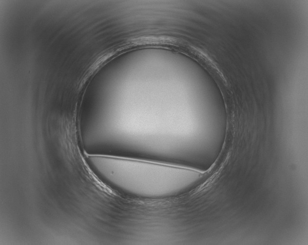 X0000054381033200507290851