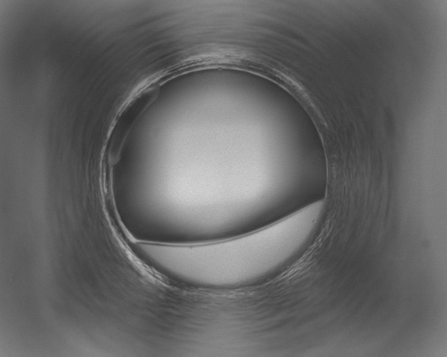 X0000054381034200507290851