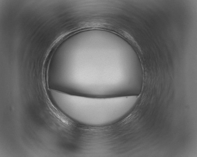 X0000054381035200507290851