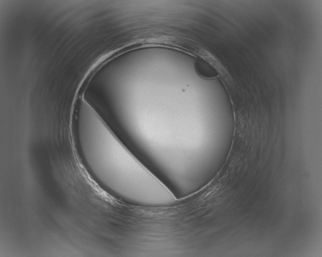 X0000054381036200507290851