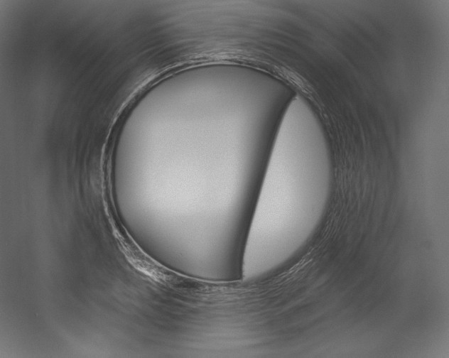 X0000054381039200507290852