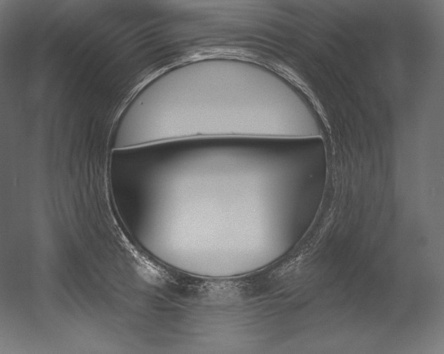 X0000054381041200507290852