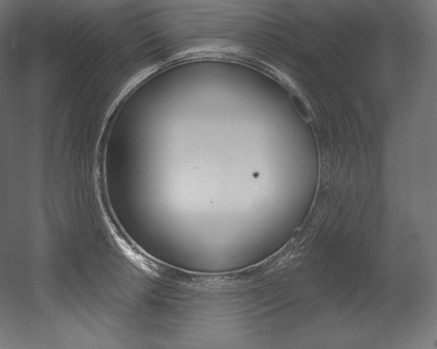 X0000054381042200507290852