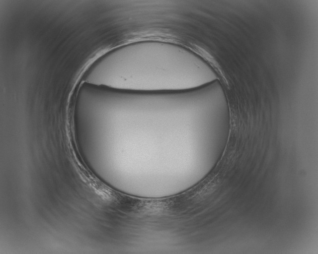 X0000054381043200507290852