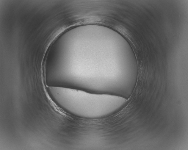 X0000054381047200507290852