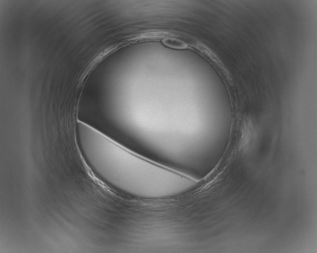 X0000054381049200507290852