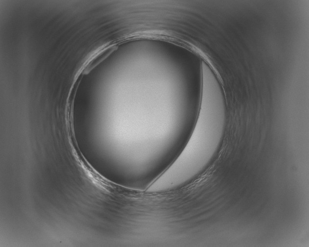 X0000054381050200507290852