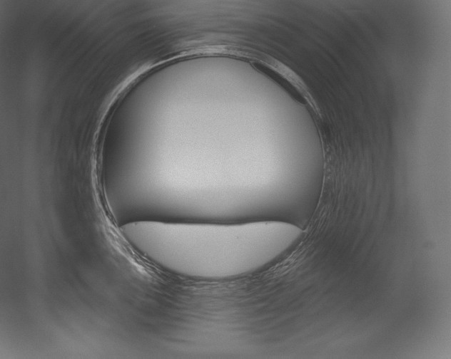 X0000054381051200507290852