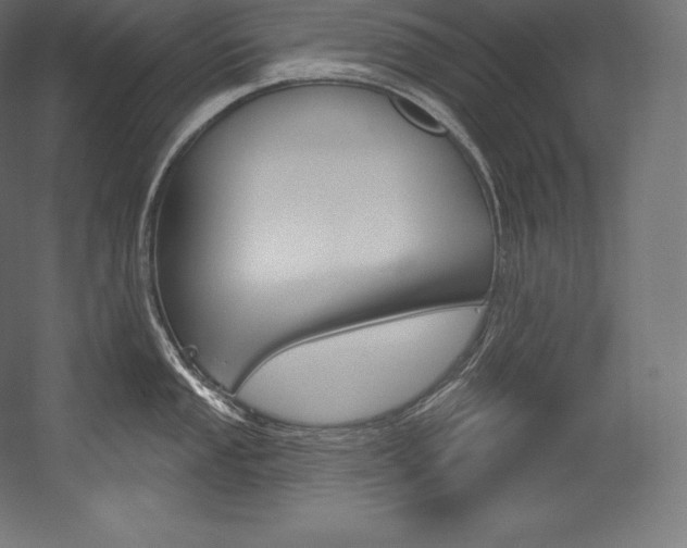 X0000054381053200507290852