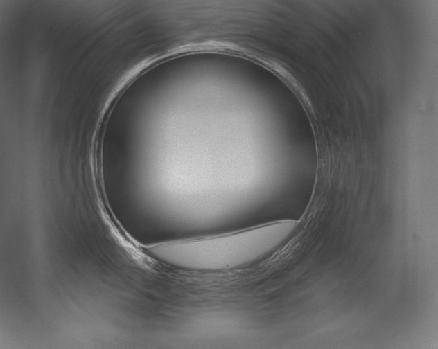 X0000054381054200507290852