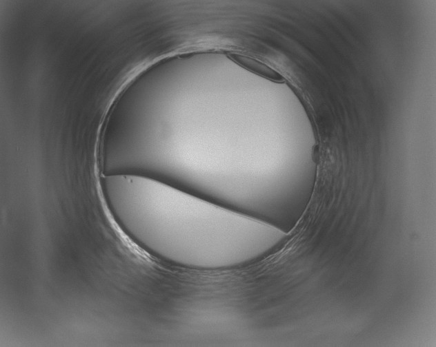 X0000054381055200507290852