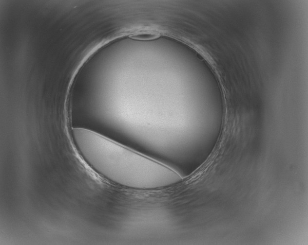 X0000054381056200507290852