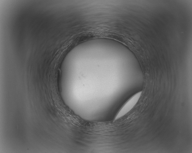 X0000054381057200507290851