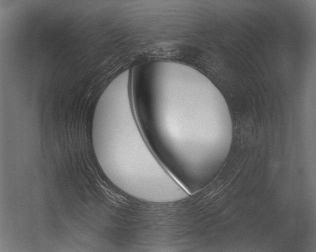 X0000054381058200507290851