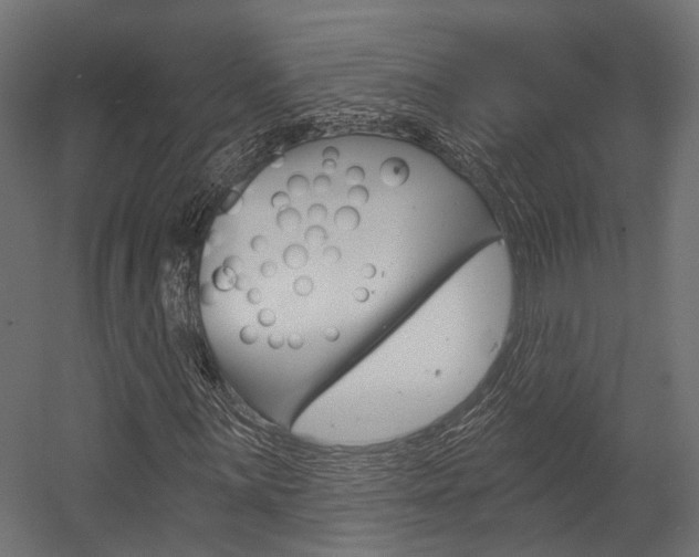 X0000054381059200507290851