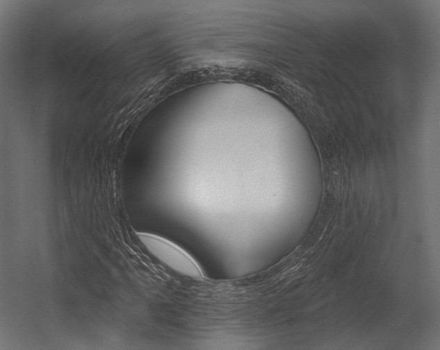 X0000054381061200507290851