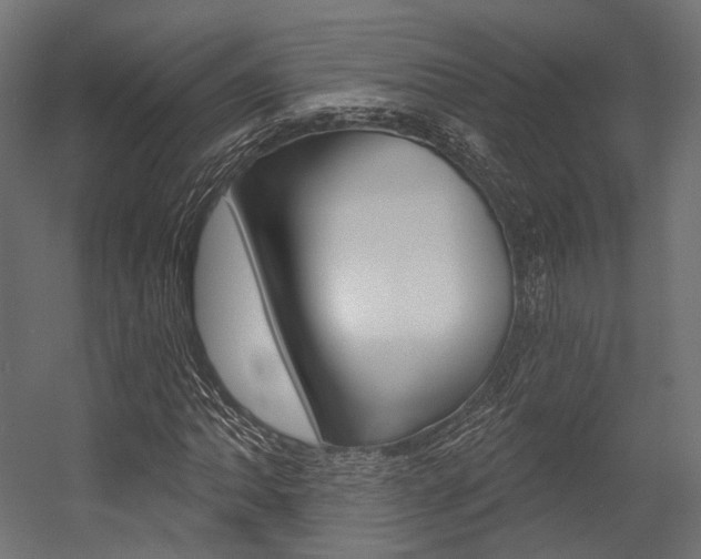 X0000054381062200507290851