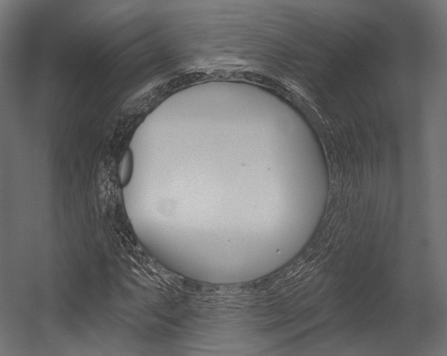 X0000054381063200507290851
