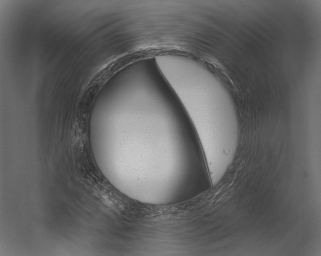 X0000054381064200507290851