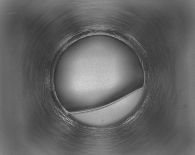 X0000054381065200507290851