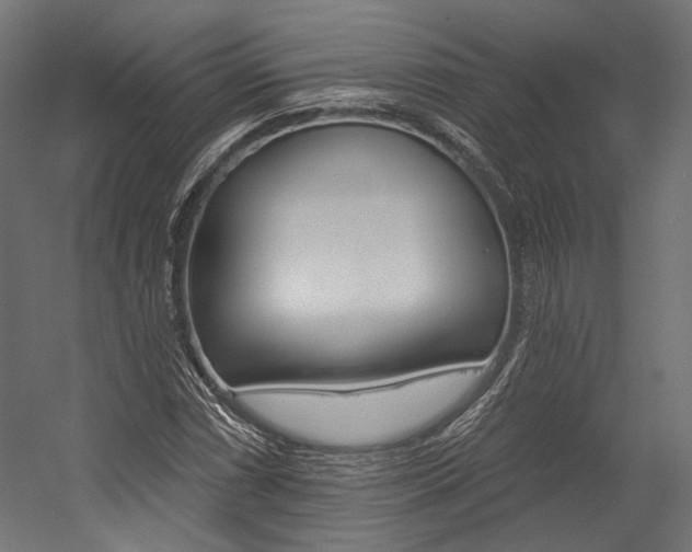 X0000054381066200507290851
