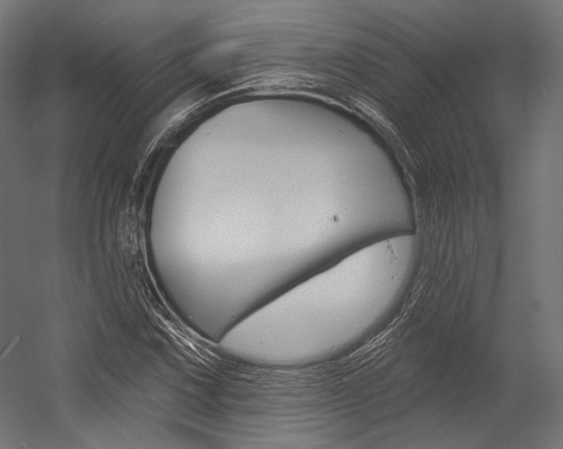 X0000054381067200507290851