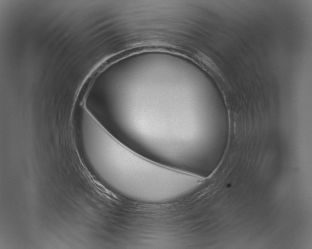 X0000054381068200507290851