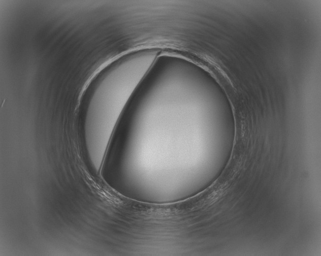 X0000054381069200507290851