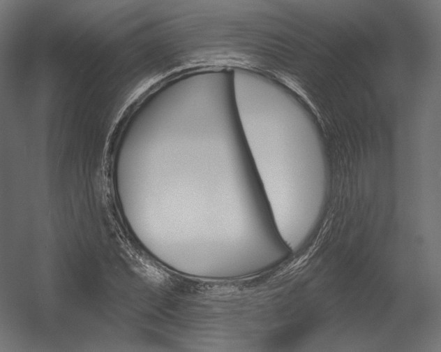 X0000054381071200507290851