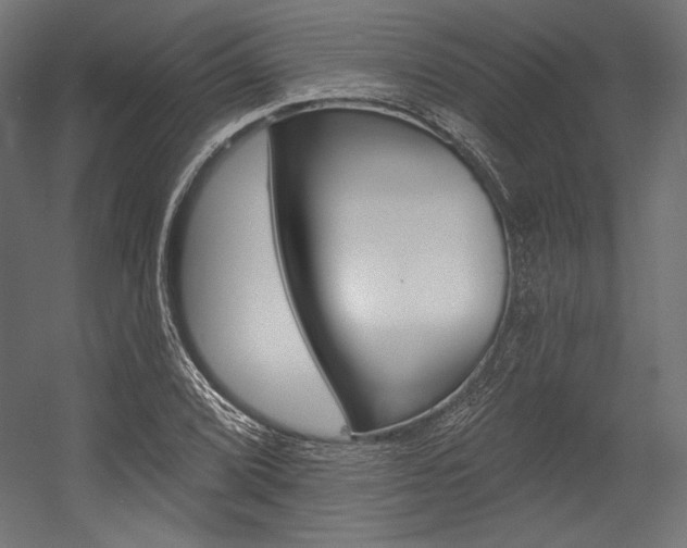 X0000054381072200507290851