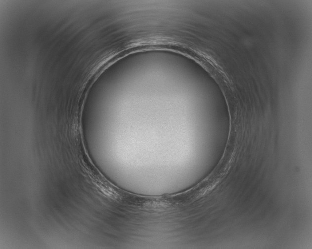 X0000054381073200507290851