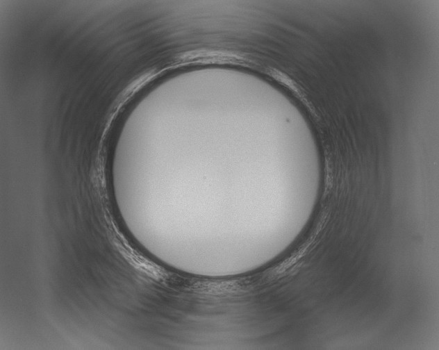 X0000054381074200507290851