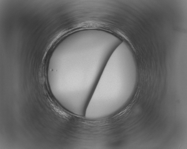 X0000054381075200507290851