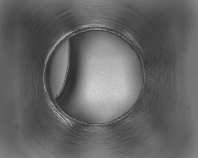 X0000054381076200507290851