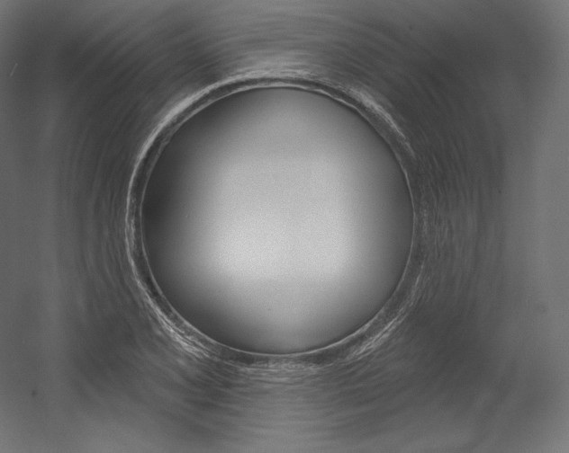 X0000054381077200507290851