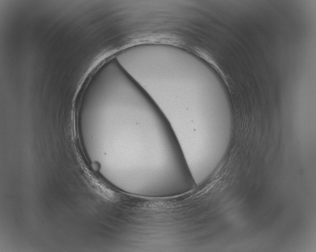 X0000054381079200507290851