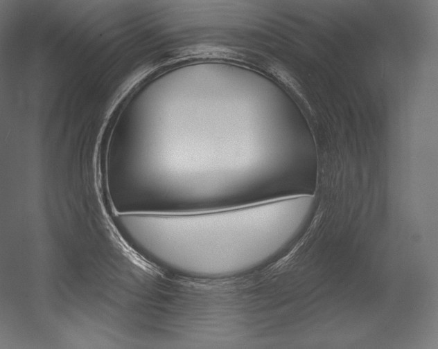 X0000054381082200507290851