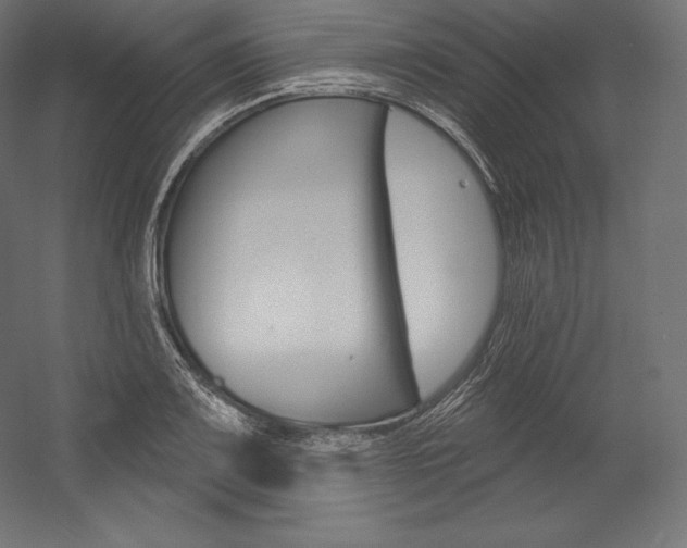 X0000054381083200507290851