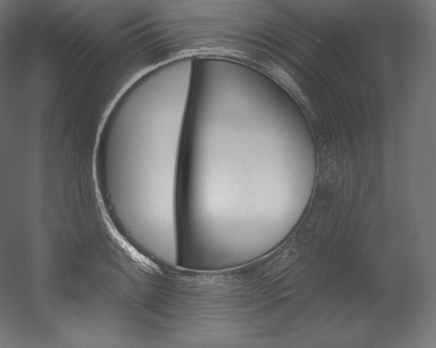 X0000054381084200507290851