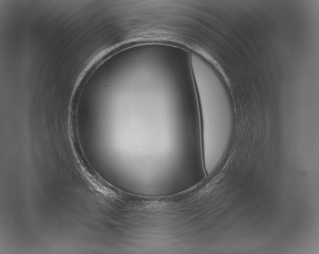 X0000054381085200507290851