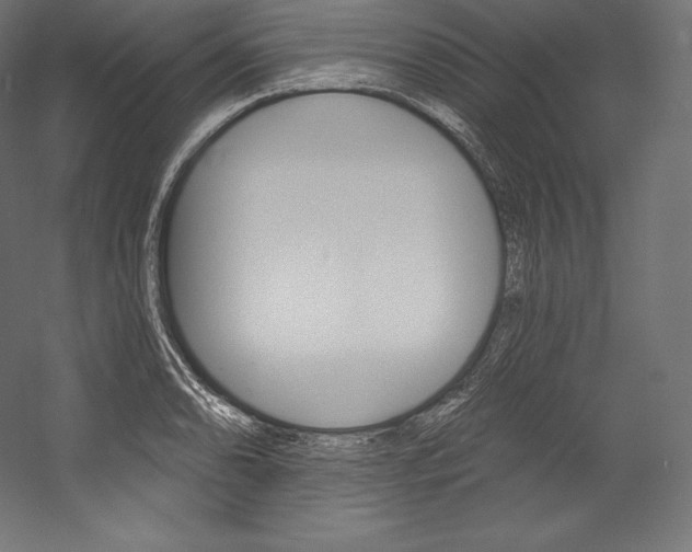 X0000054381086200507290851