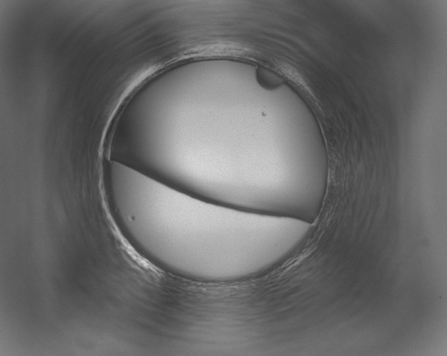X0000054381087200507290850