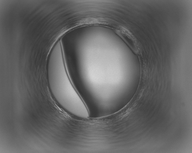 X0000054381089200507290850