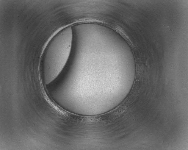 X0000054381092200507290850