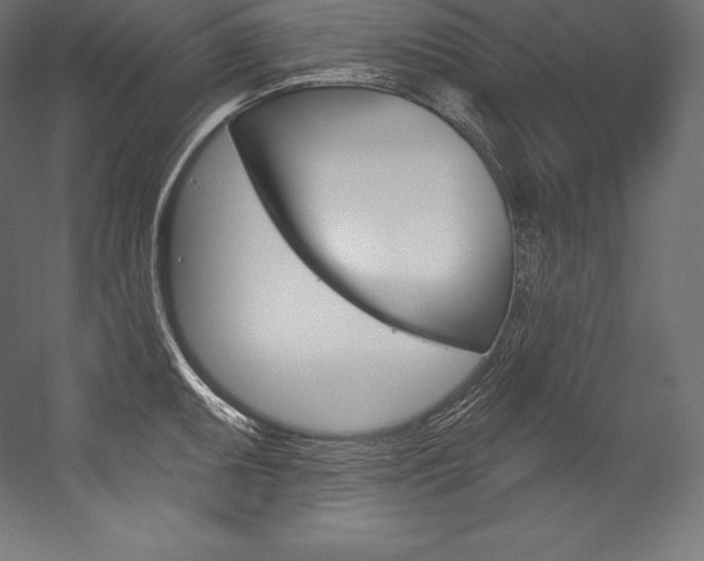 X0000054381095200507290850