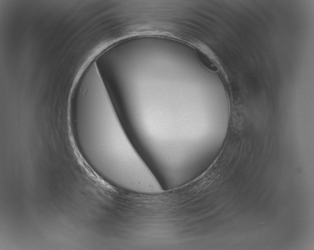 X0000054381096200507290850