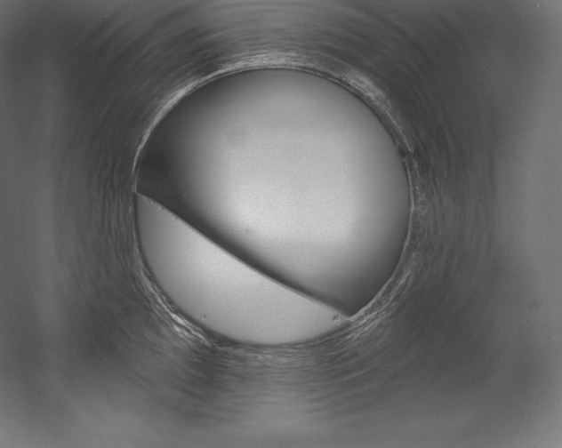 X0000054381097200507290850